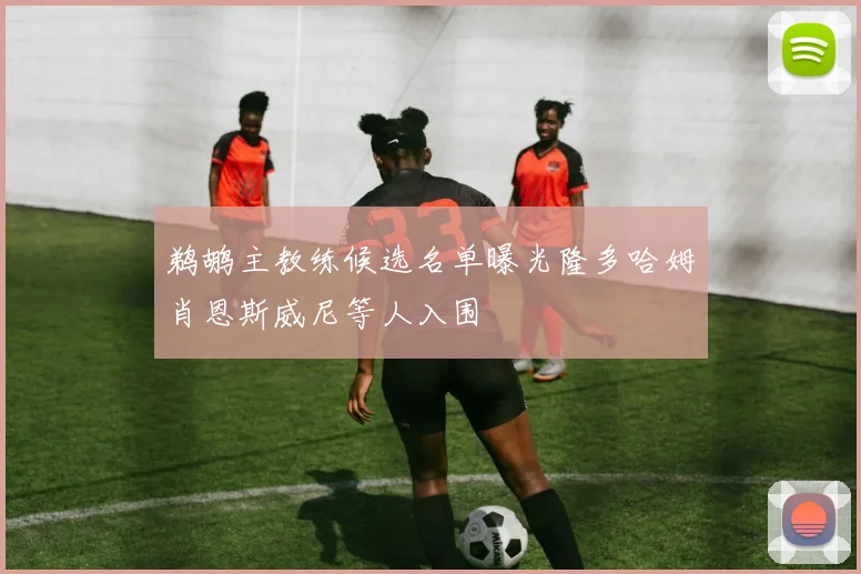 鹈鹕主教练候选名单曝光隆多哈姆肖恩斯威尼等人入围
