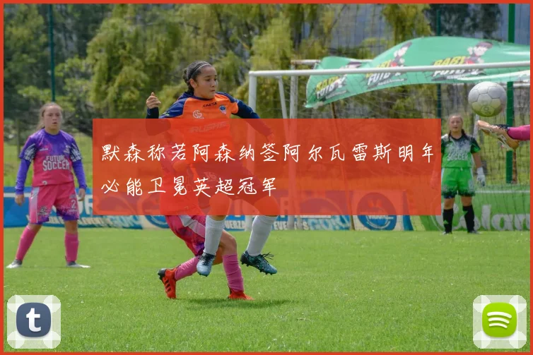 默森称若阿森纳签阿尔瓦雷斯明年必能卫冕英超冠军